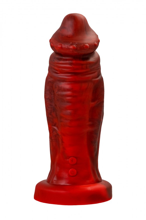 2a79eff3-ff53-11ef-8aad-00155d020c00_3267f51e-ff53-11ef-8aad-00155d020c00